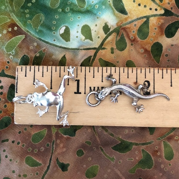 Silver Frog and Lizard Charms/Pendants - Picture 3 of 3